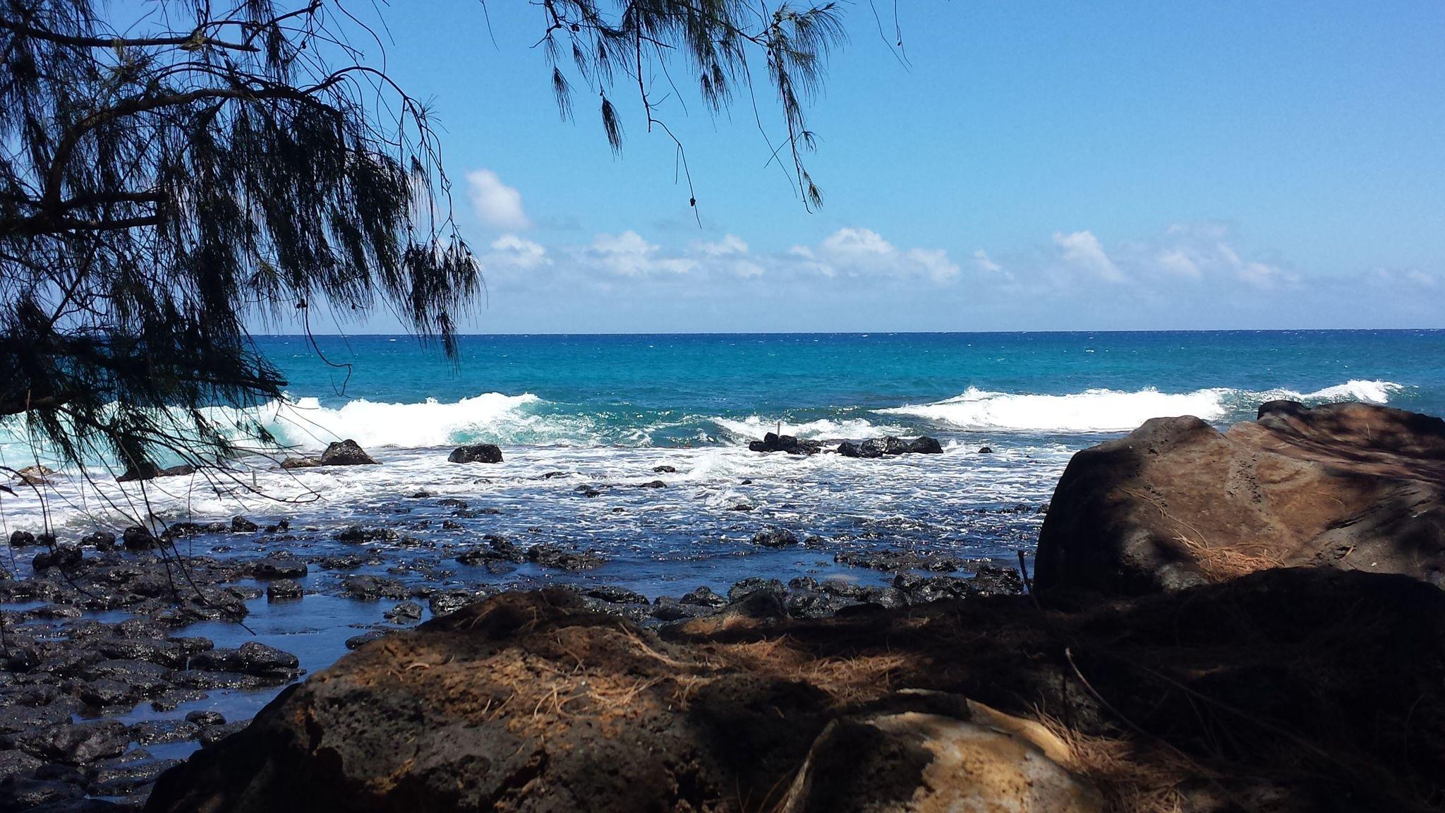 2048x1152 Photos of Koloa, Kauai trails