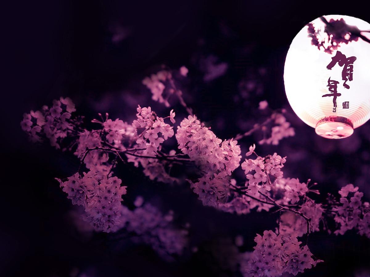 1200x900 Cherry Blossom Desktop Wallpaper Black