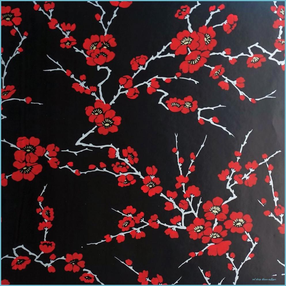 993x993 Signature Prints Wallpaper Cherry Blossom SPW CH14 Cherry Blossom Wallpaper