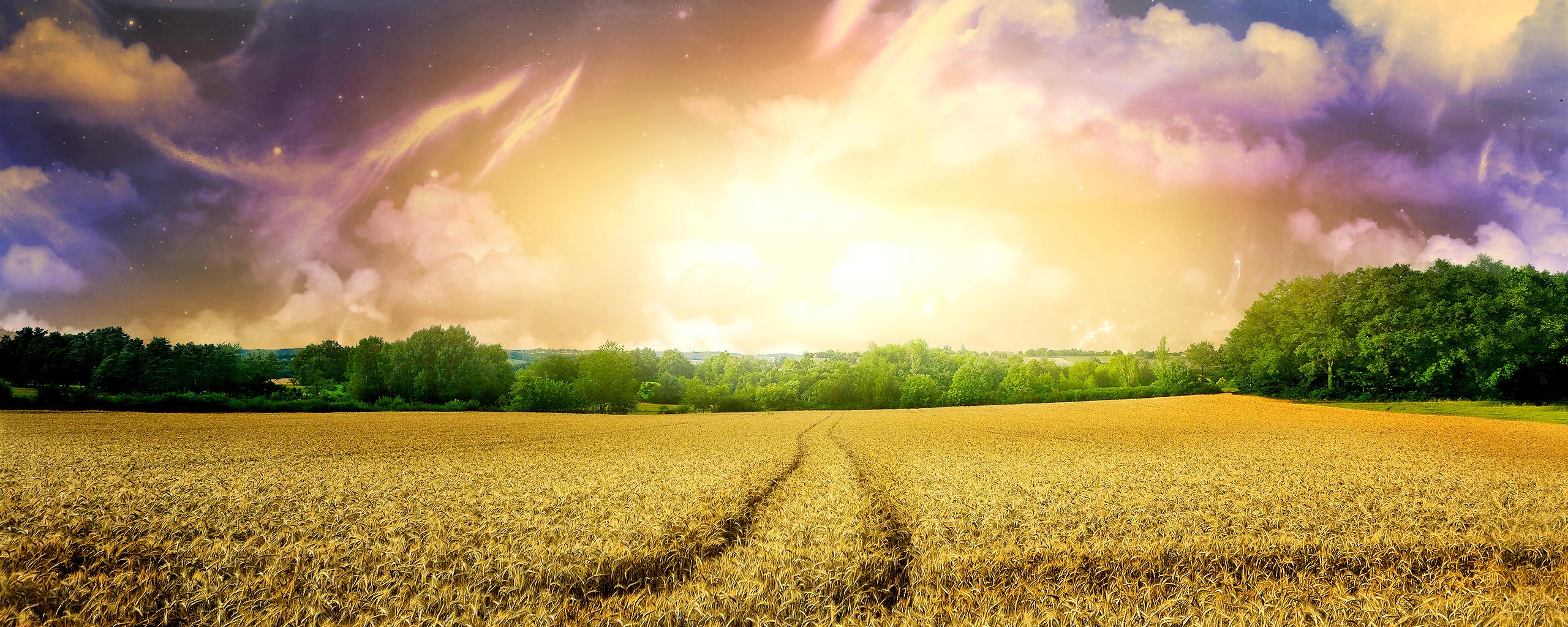 2560x1024 Free download Homepage Panoramic Wallpaper Panoramic wallpaper 2560x1024 3 [2560x1024] for your Desktop, Mobile & Tablet. Explore High Resolution Panoramic Wallpaperx1200 High Resolution Panoramic Wallpaper