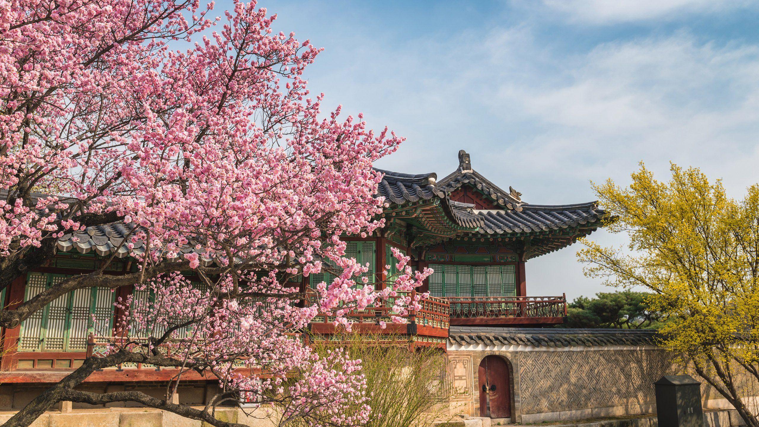 2560x1440 Aesthetic Seoul Korea Wallpaper