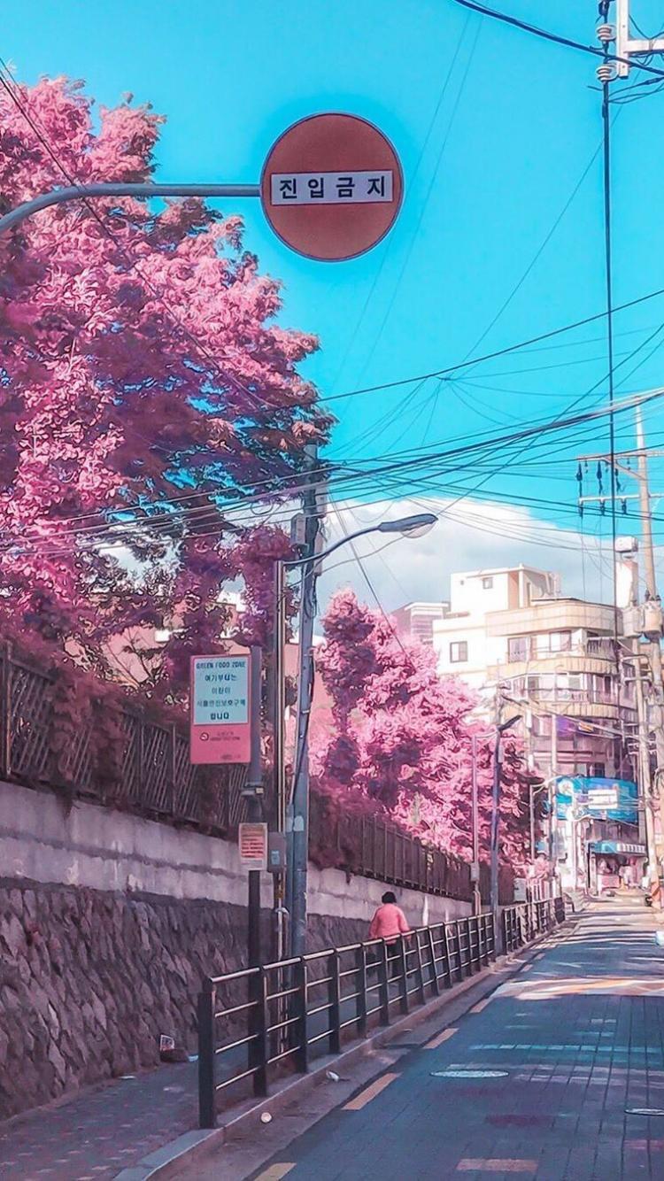 750x1334 Free download Rocket Languages Korea wallpaper City aesthetic Aesthetic korea [1080x1350] for your Desktop, Mobile & Tablet. Explore Anime City Spring Wallpaper. Wallpaper City, City Background, City Wallpaper