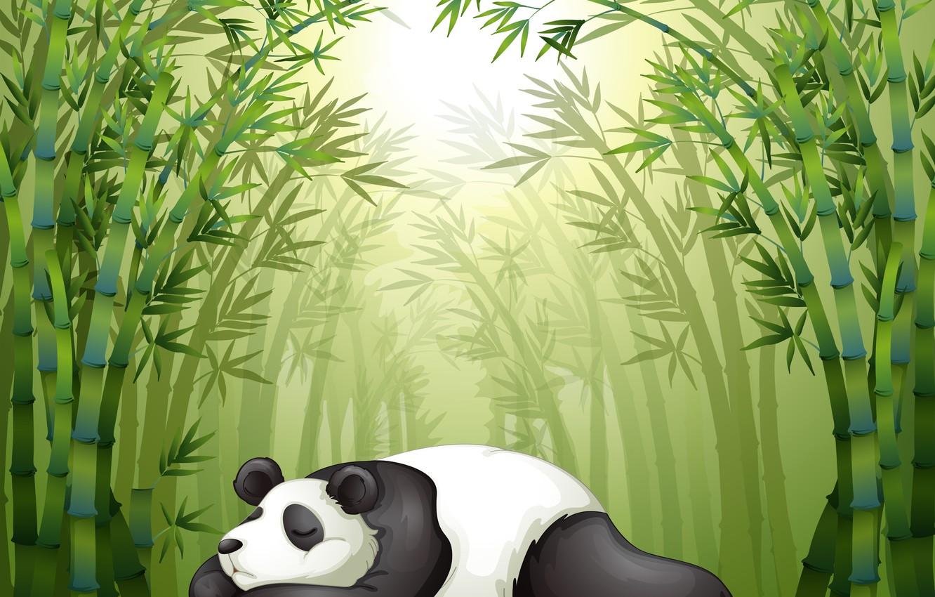 1332x850 Wallpaper stay, sleep, Panda, weed, the bamboo trees image for desktop, section рендеринг