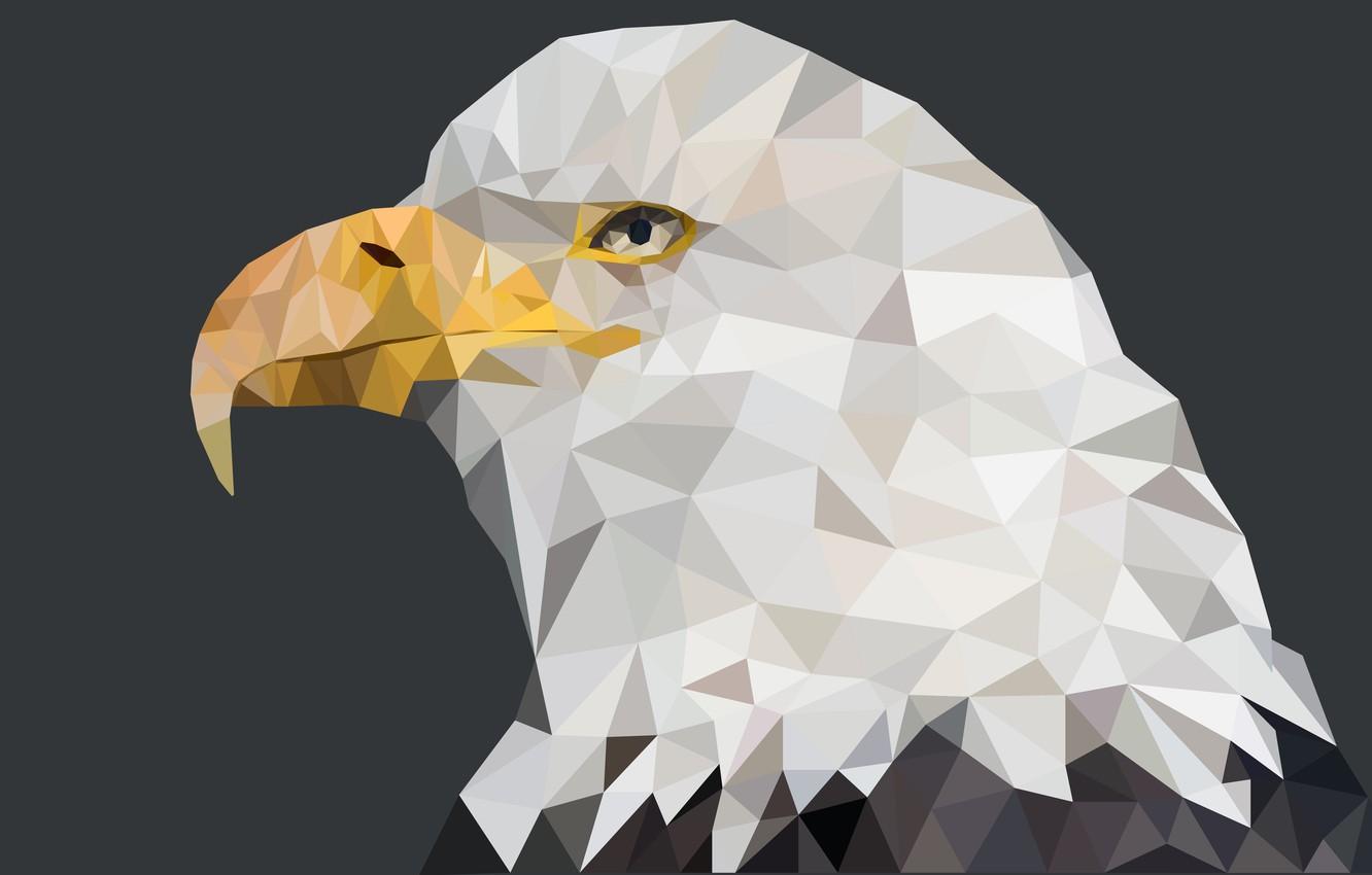 1332x850 Wallpaper america, eagle, beast, geometric image for desktop, section животные