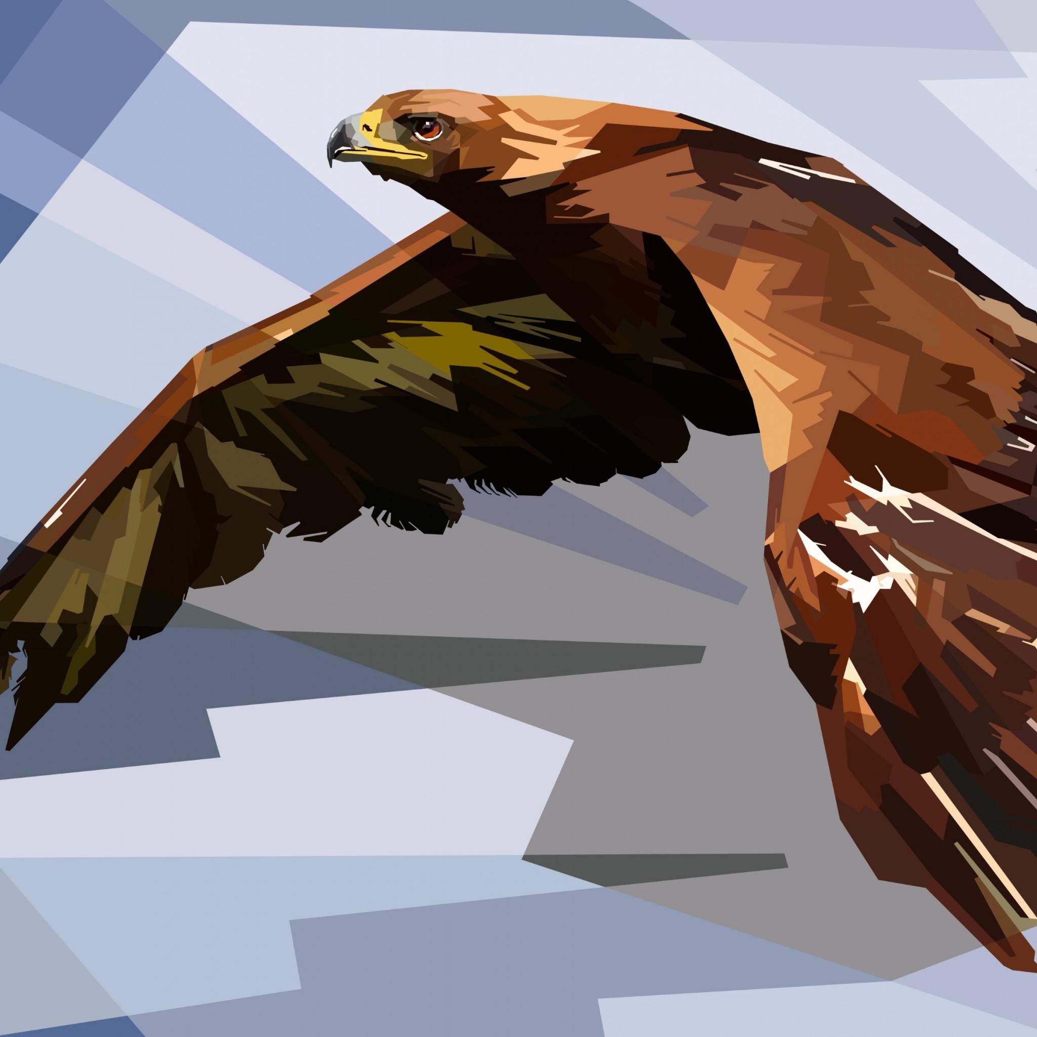 2048x2048 Digital Drawing Of An Eagle Wallpaper Art Bird Of Prey