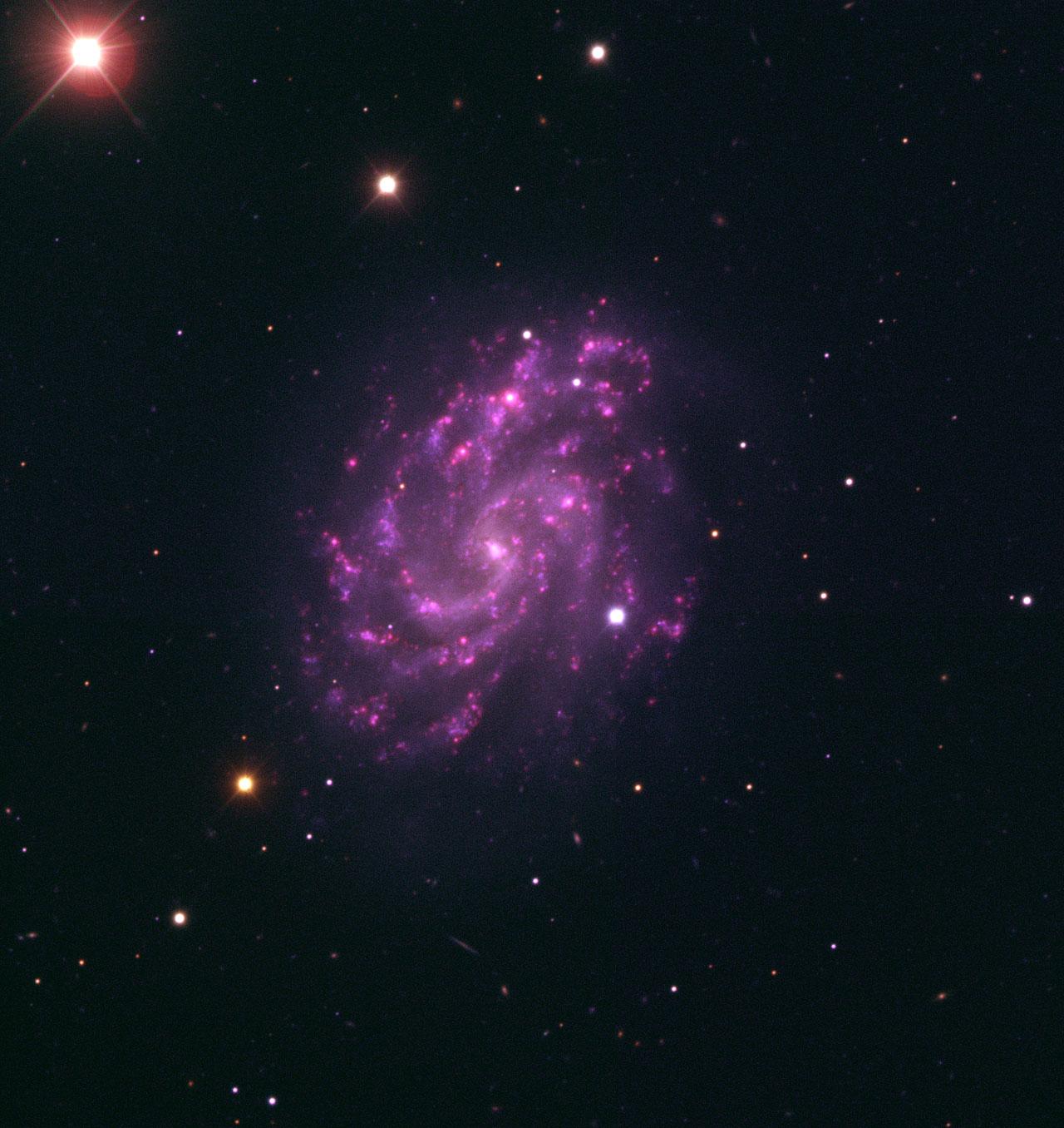 1280x1356 The Purple Rose of Virgo