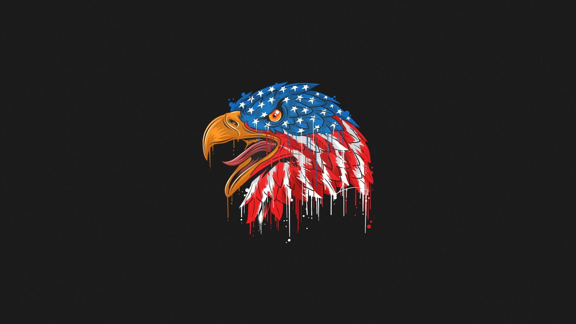 1920x1080 HD Wallpaper for theme: eagle HD wallpaper, background