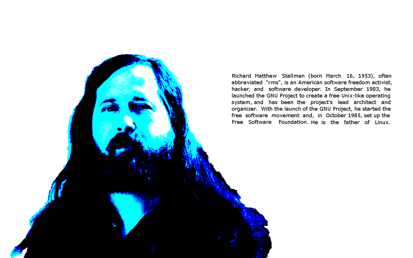1440x900 Stallman Pop Art