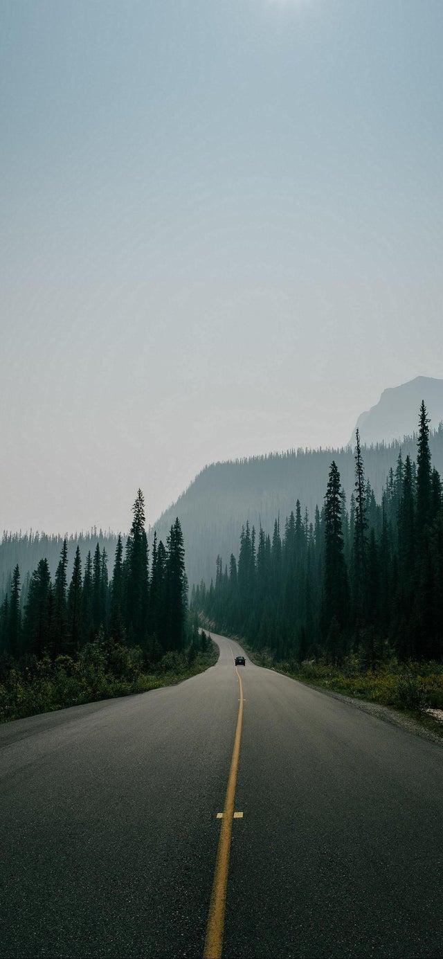 640x1385 iPhone Wallpaper: iphonewallpaper
