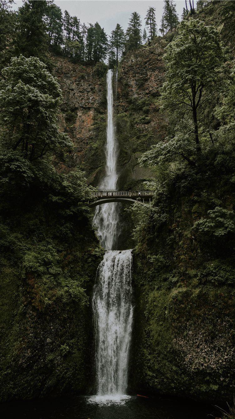 750x1334 Best Road trip iPhone 8 HD Wallpaper