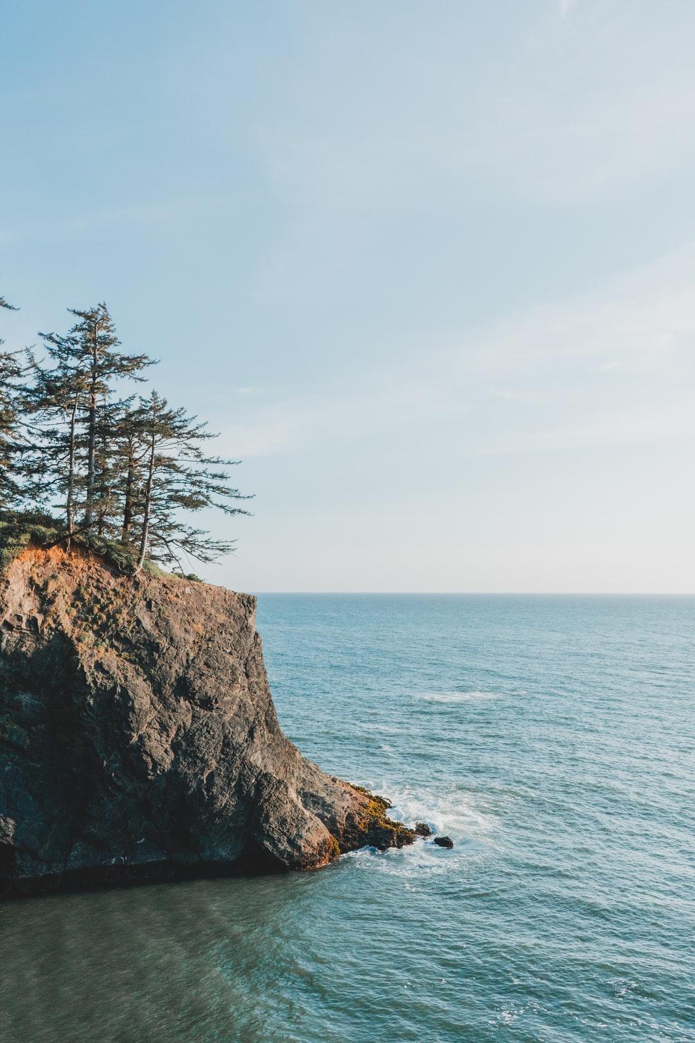1000x1500 Pacific Northwest Picture. Download Free Image