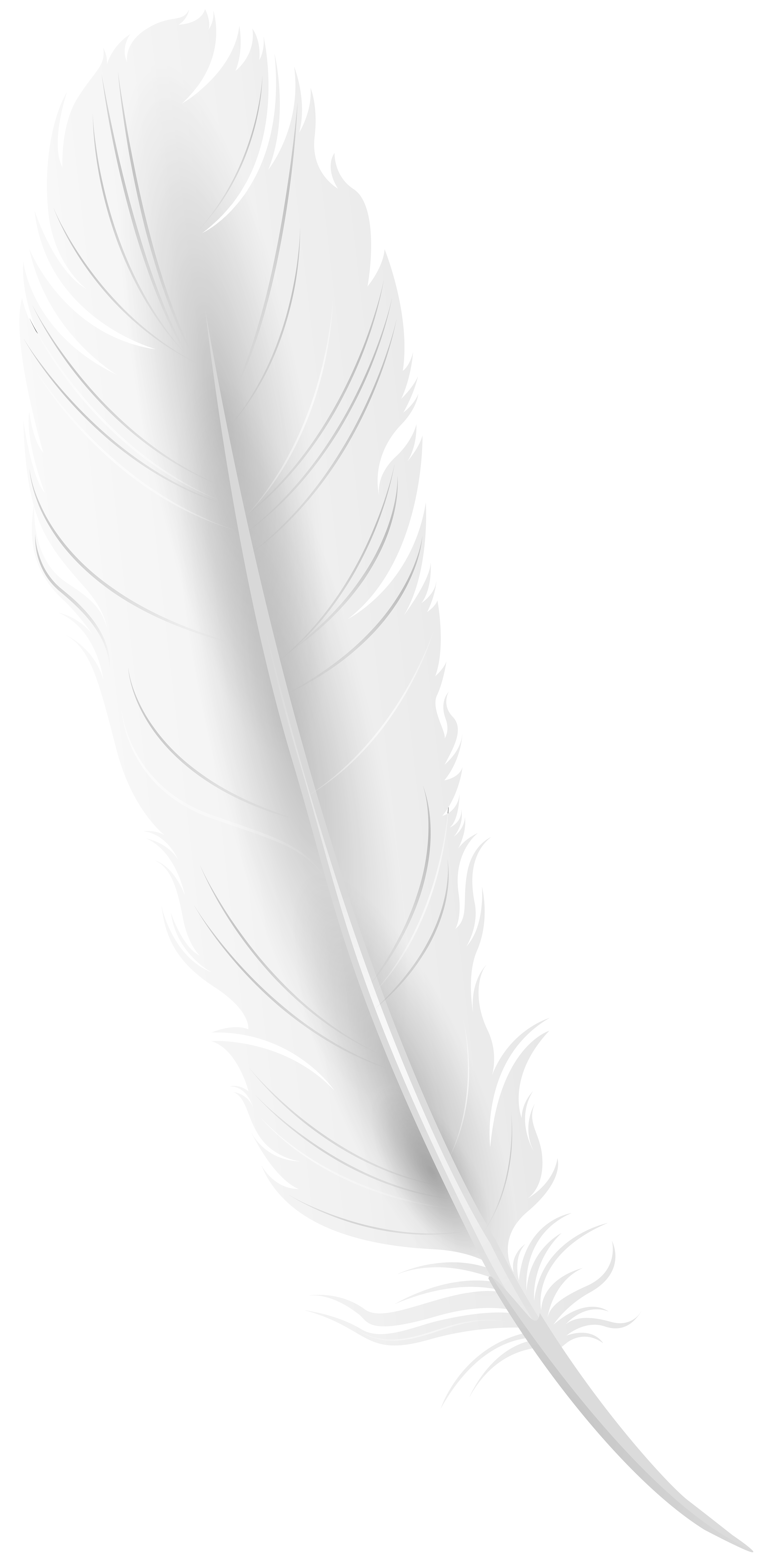 3936x8000 White Feather PNG Clip Art Image​-Quality Image and Transparent PNG Free Clipart. Feather png, Clip art, Art image