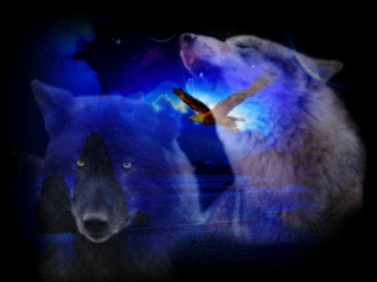 1200x900 Free download Wolf Spirits Abstract Clouds Colours Dogs Eagle Fantasy Flying [1200x900] for your Desktop, Mobile & Tablet. Explore Fantasy Eagle Wallpaper. Final Fantasy Wallpaper, Fantasy Picture Wallpaper, Fantasy
