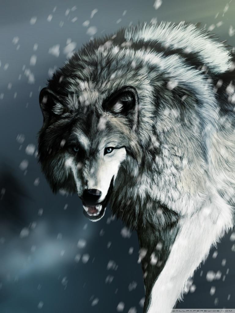 768x1024 Wolf Ultra HD Desktop Background Wallpaper for 4K UHD TV : Tablet