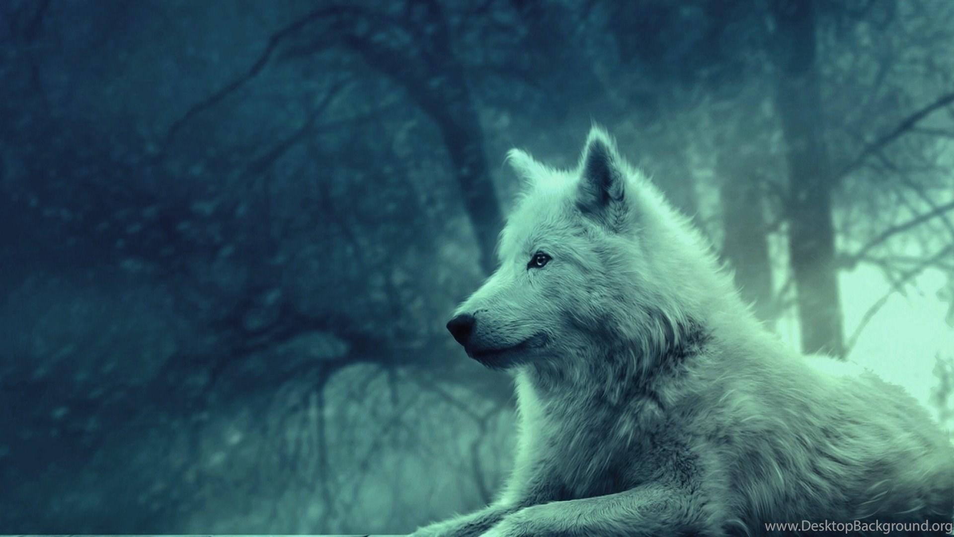 1920x1080 High Resolution Wolf Animated White Wolf Wallpaper SiWallpaperHD. Desktop Background