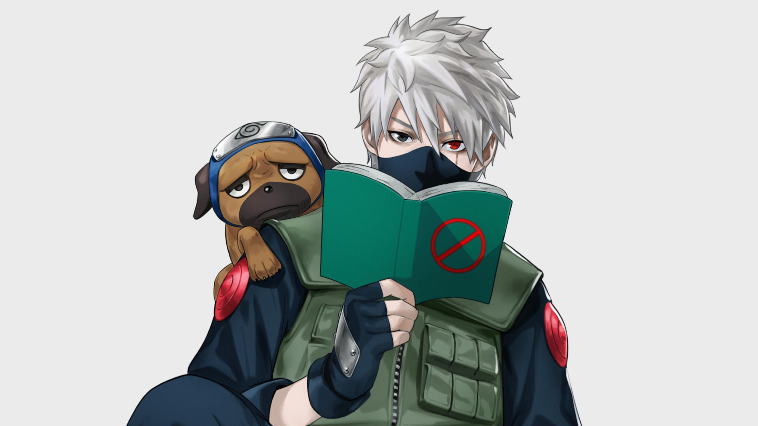 2560x1440 Kakashi Hatake and Pakkun 1440P Resolution Wallpaper, HD Anime 4K Wallpaper, Image, Photo and Background