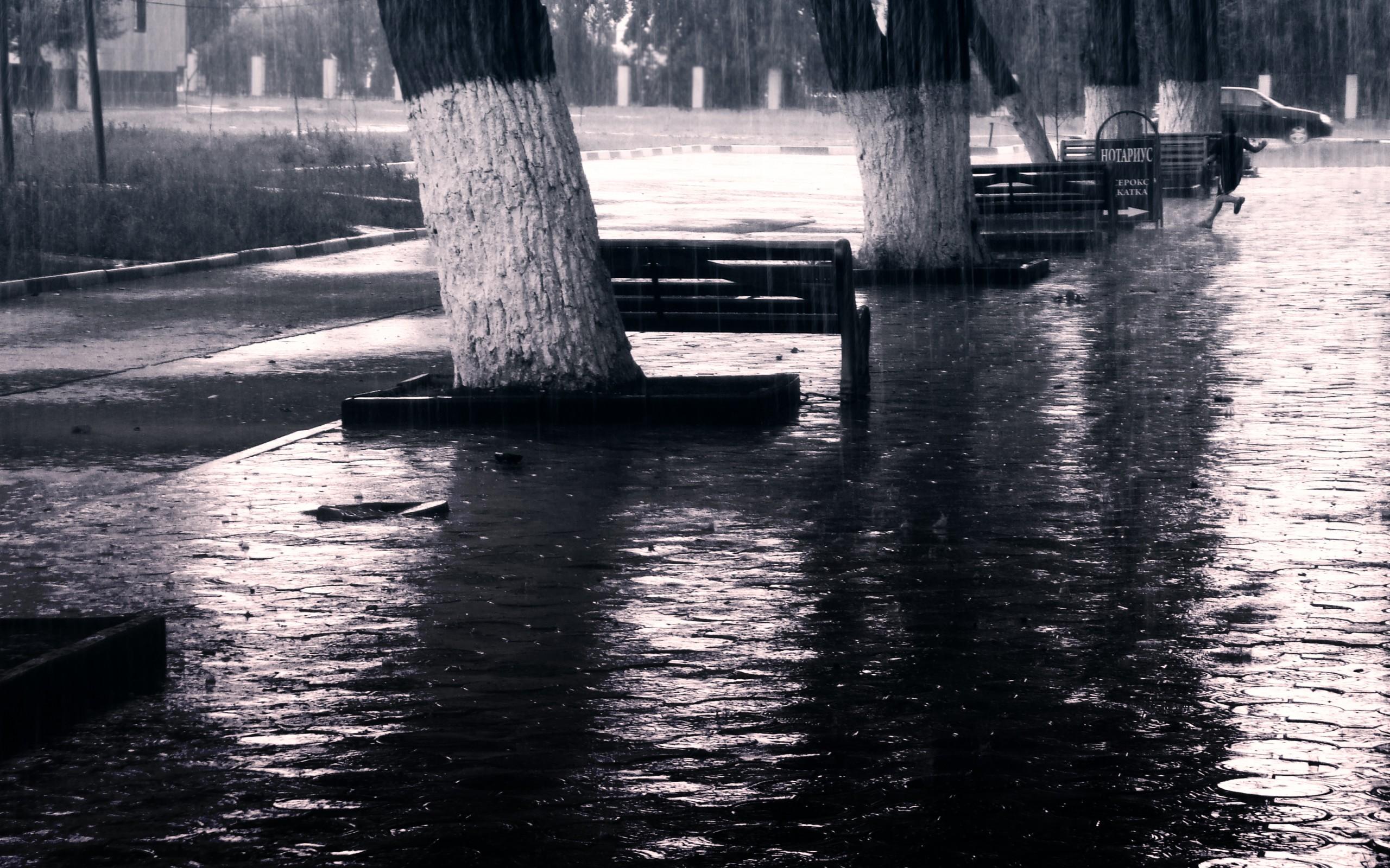2560x1600 Rain Black and White wallpaperx1600
