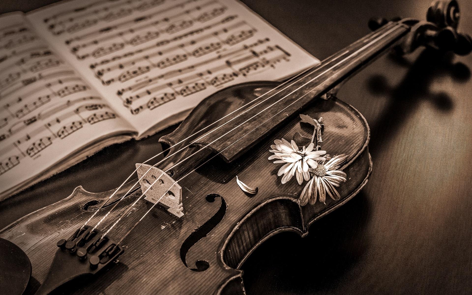 1920x1200 Wallpaper Retro Style, Violin, Music Score - خلفيات كمان HD Wallpaper