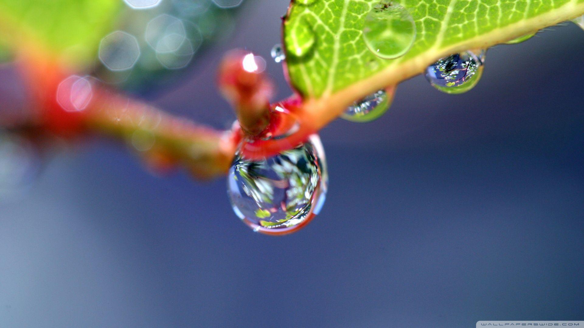 1920x1080 Water Drop Super Macro ❤ 4K HD Desktop Wallpaper for 4K Ultra HD TV