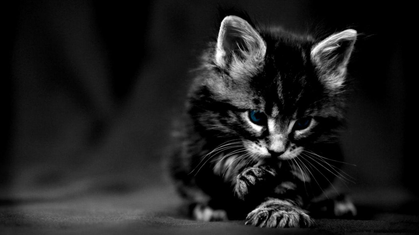 1472x828 1080p black and white wallpaper