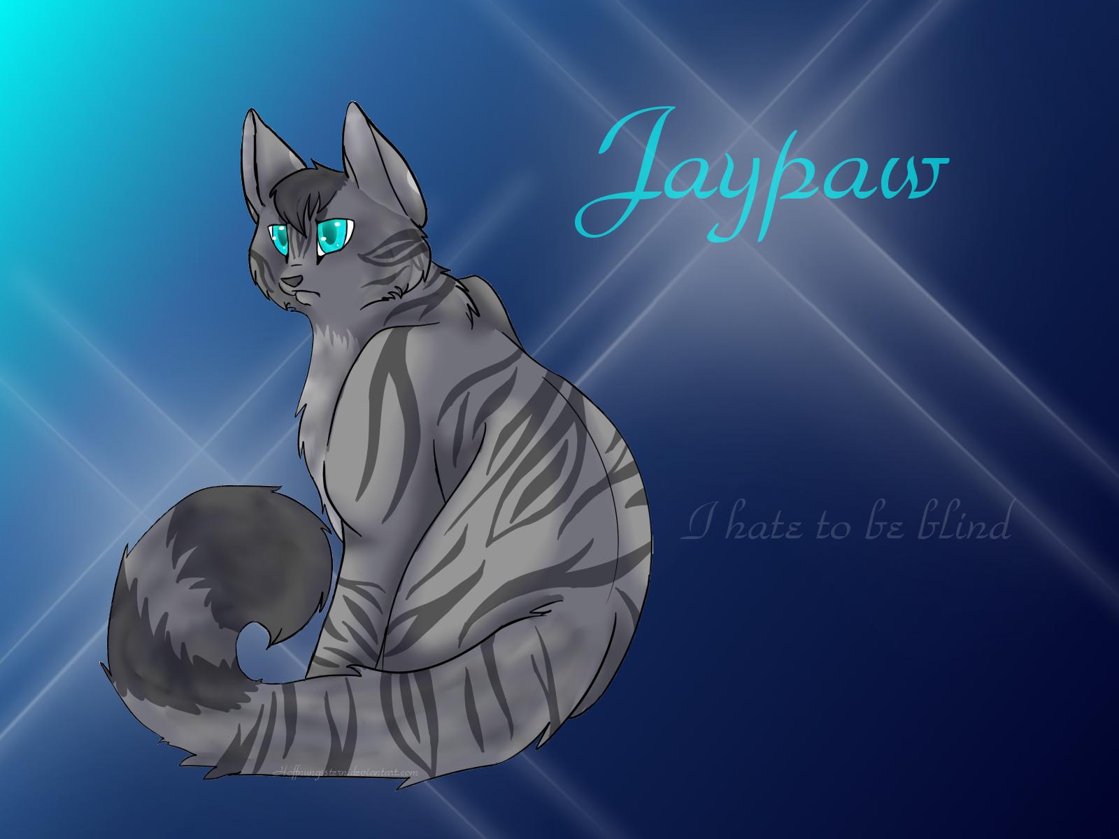 1600x1200 Free download Warrior Cats Wallpaper Warriorcats wallpaper jaypaw [1600x1200] for your Desktop, Mobile & Tablet. Explore Warrior Cat Wallpaper Background. Warriors Ground Wallpaper, Cool Golden State Warriors Wallpaper, HD Warrior Wallpaper