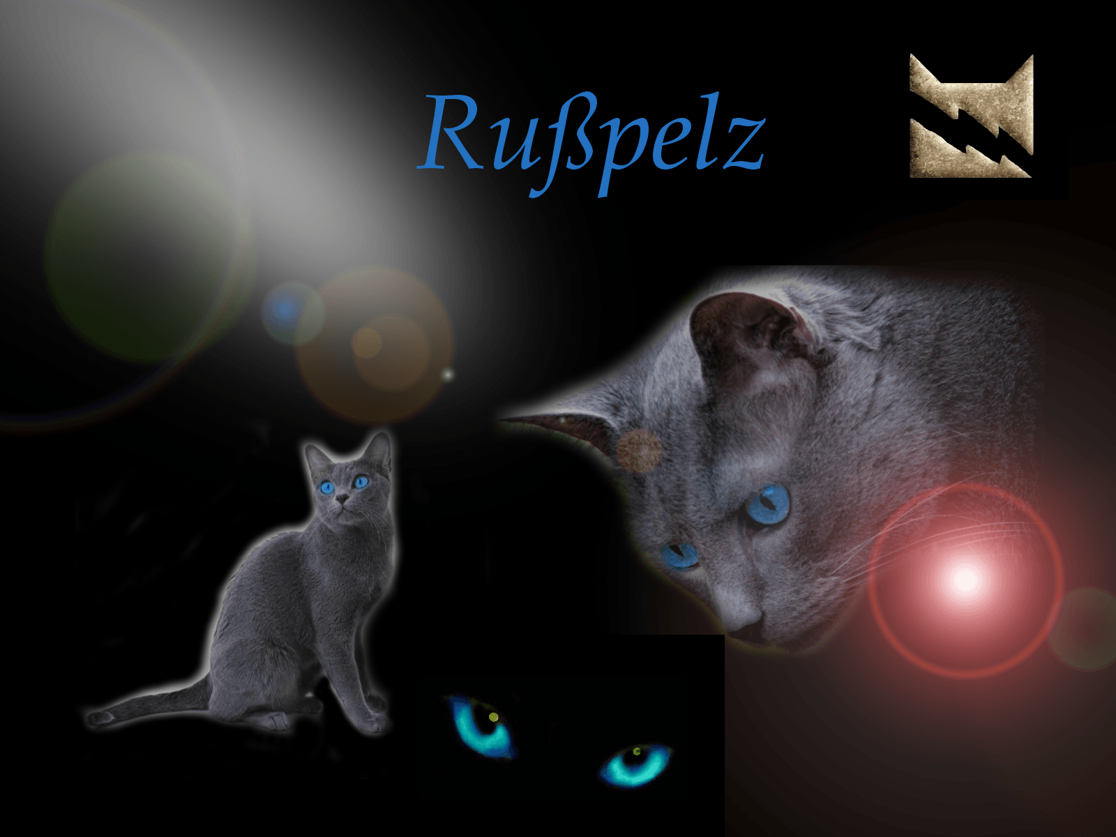 1600x1200 Warrior Cats Wallpaper