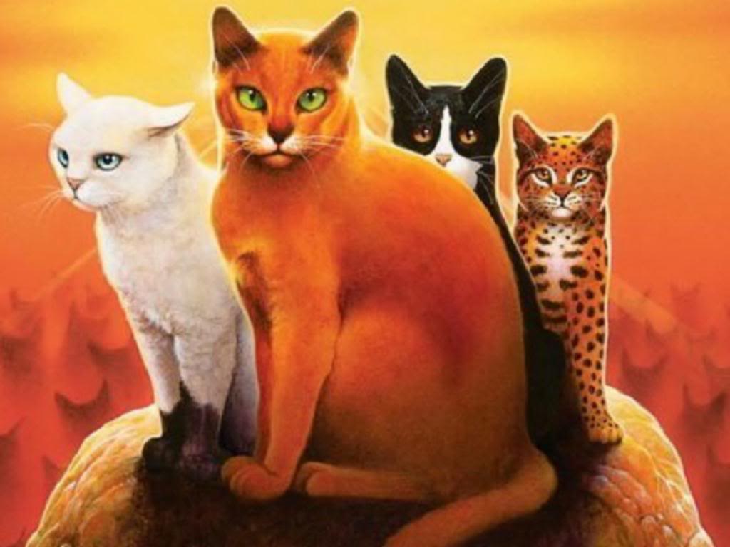 1024x768 Warrior Cats Falconflight