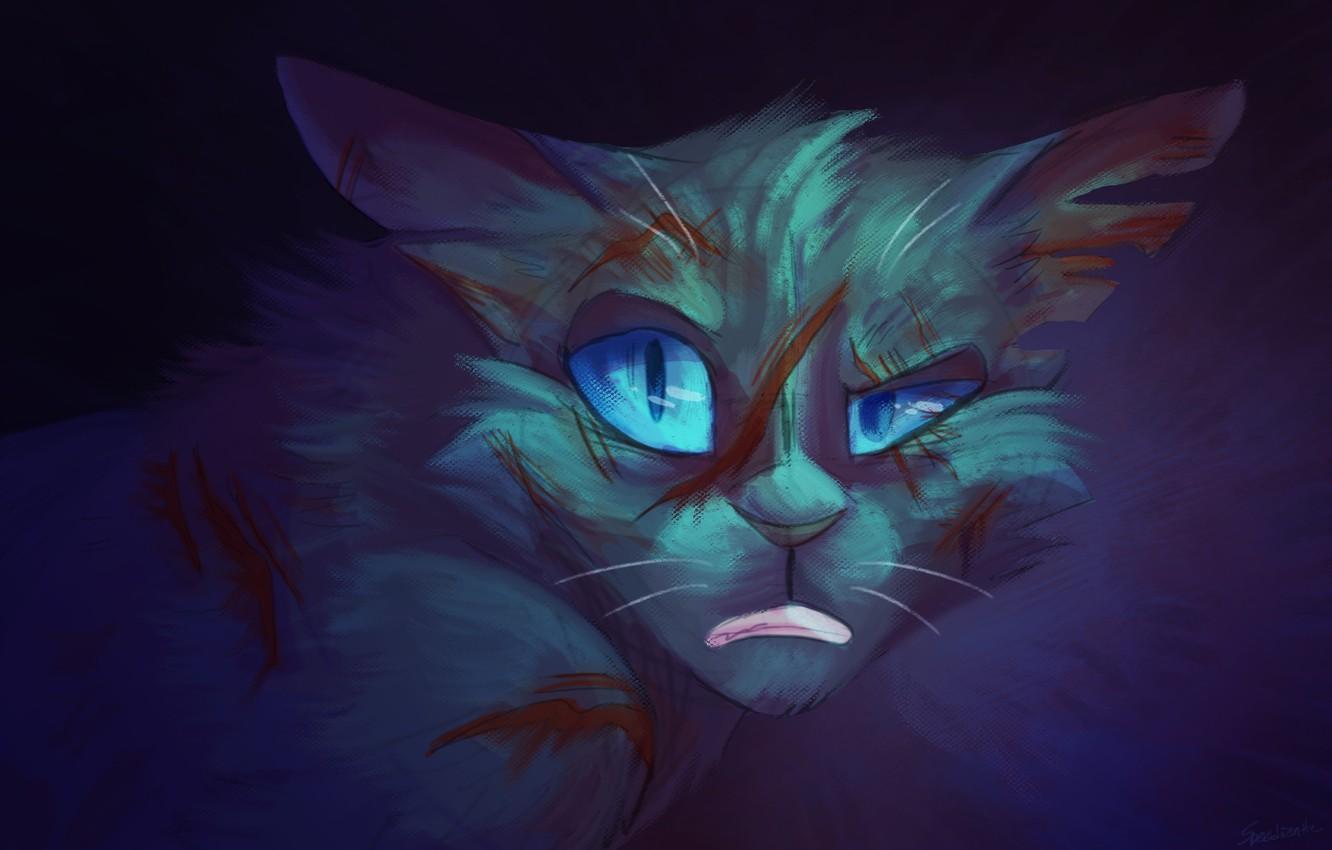1332x850 Wallpaper Stone, Cats Warriors, Cats Warriors, By Speedienth, Stonefur Image For Desktop, Section живопись