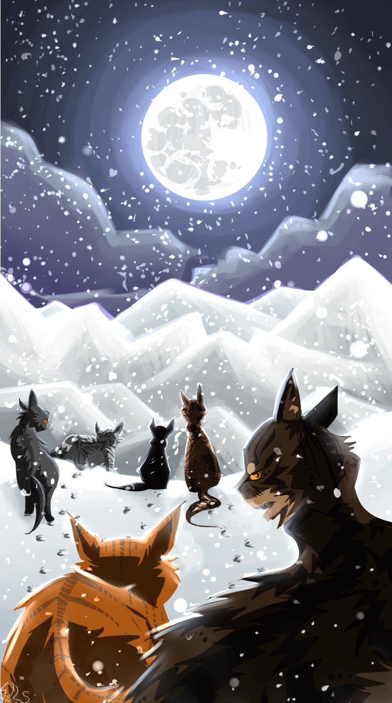 800x1432 Cool Warrior Cat Background