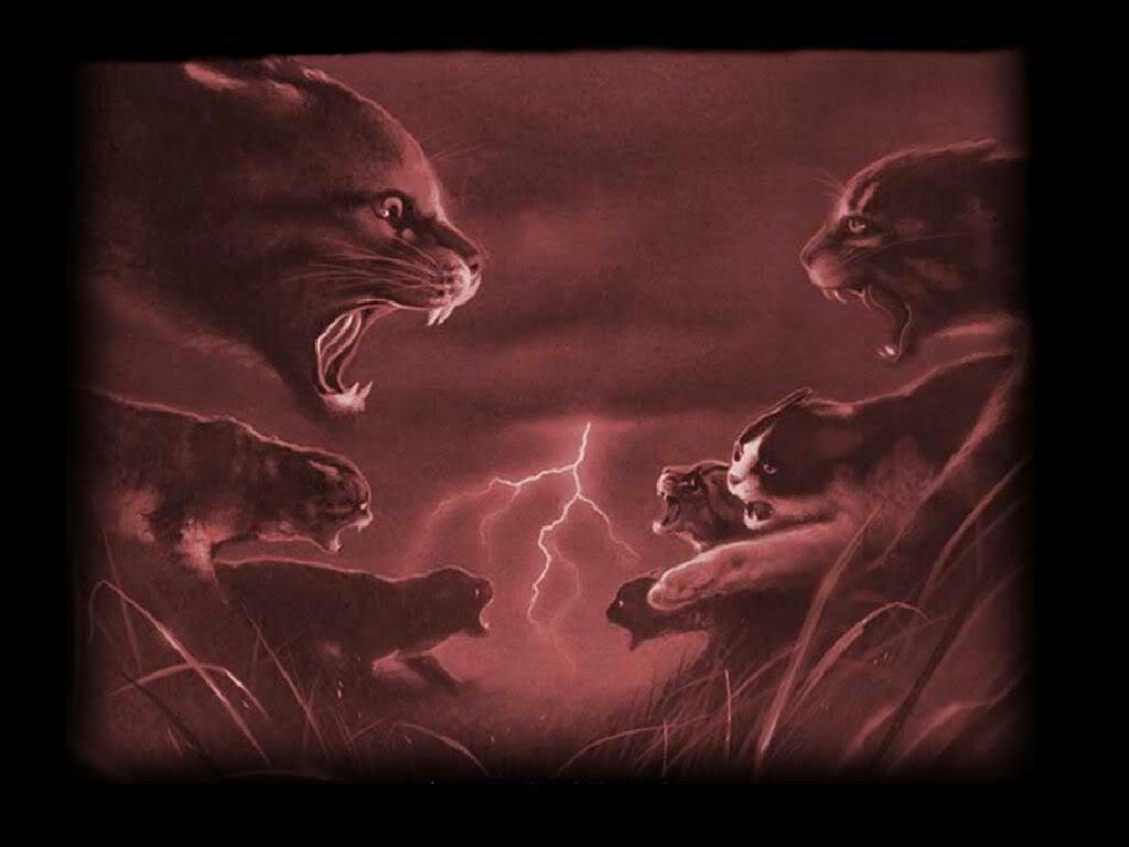1024x768 Which warrior cat are you from the journey?