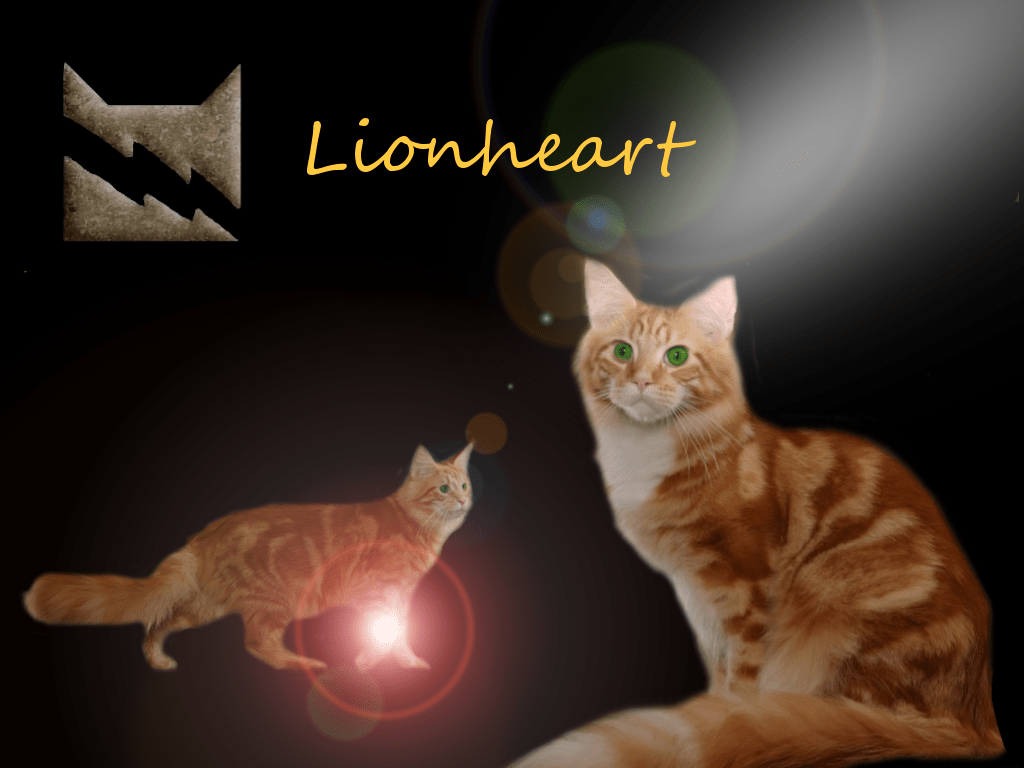 1024x768 Free download Warrior Cats Wallpaper Desktop [1024x768] for your Desktop, Mobile & Tablet. Explore Warrior Cats Wallpaper Desktop. Warrior Cats Background, Warrior Cats Wallpaper, Warrior Cats Wallpaper Desktop