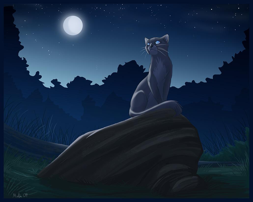 1030x825 Warrior Cats Blue Star Quotes. QuotesGram