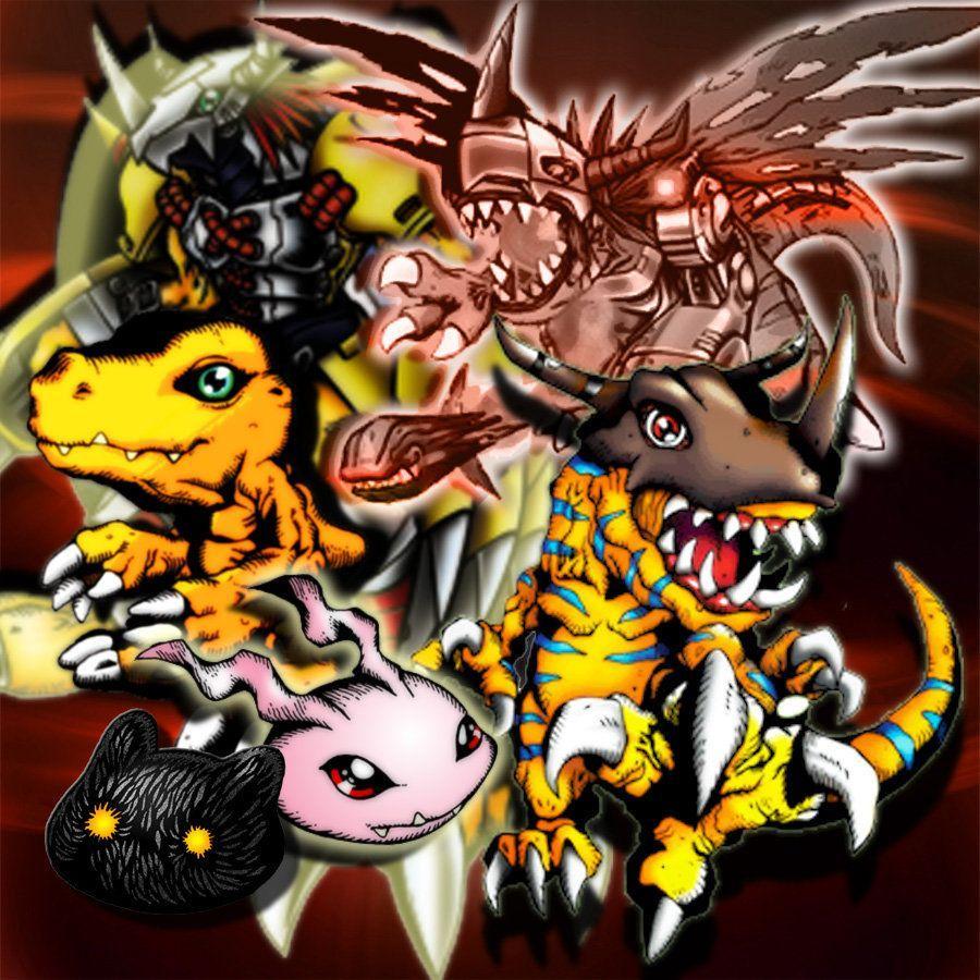900x900 Agumon Evolution HD Wallpaper