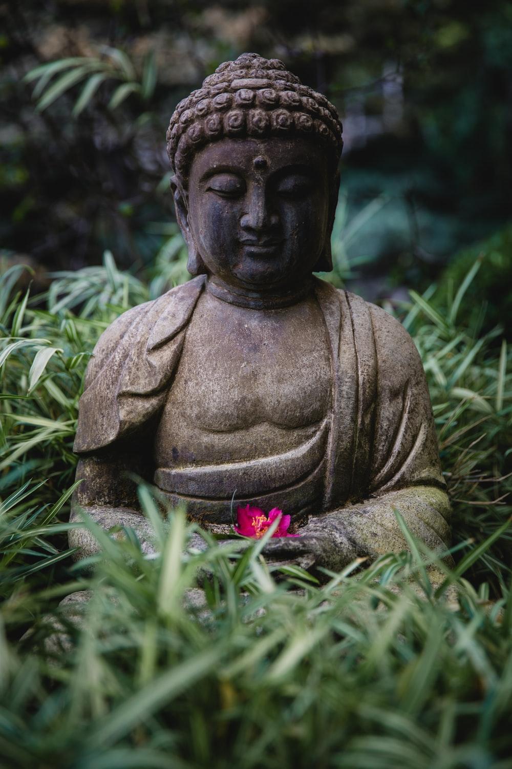 1000x1500 Buddha Picture & Image [HQ]. Download Free Photo