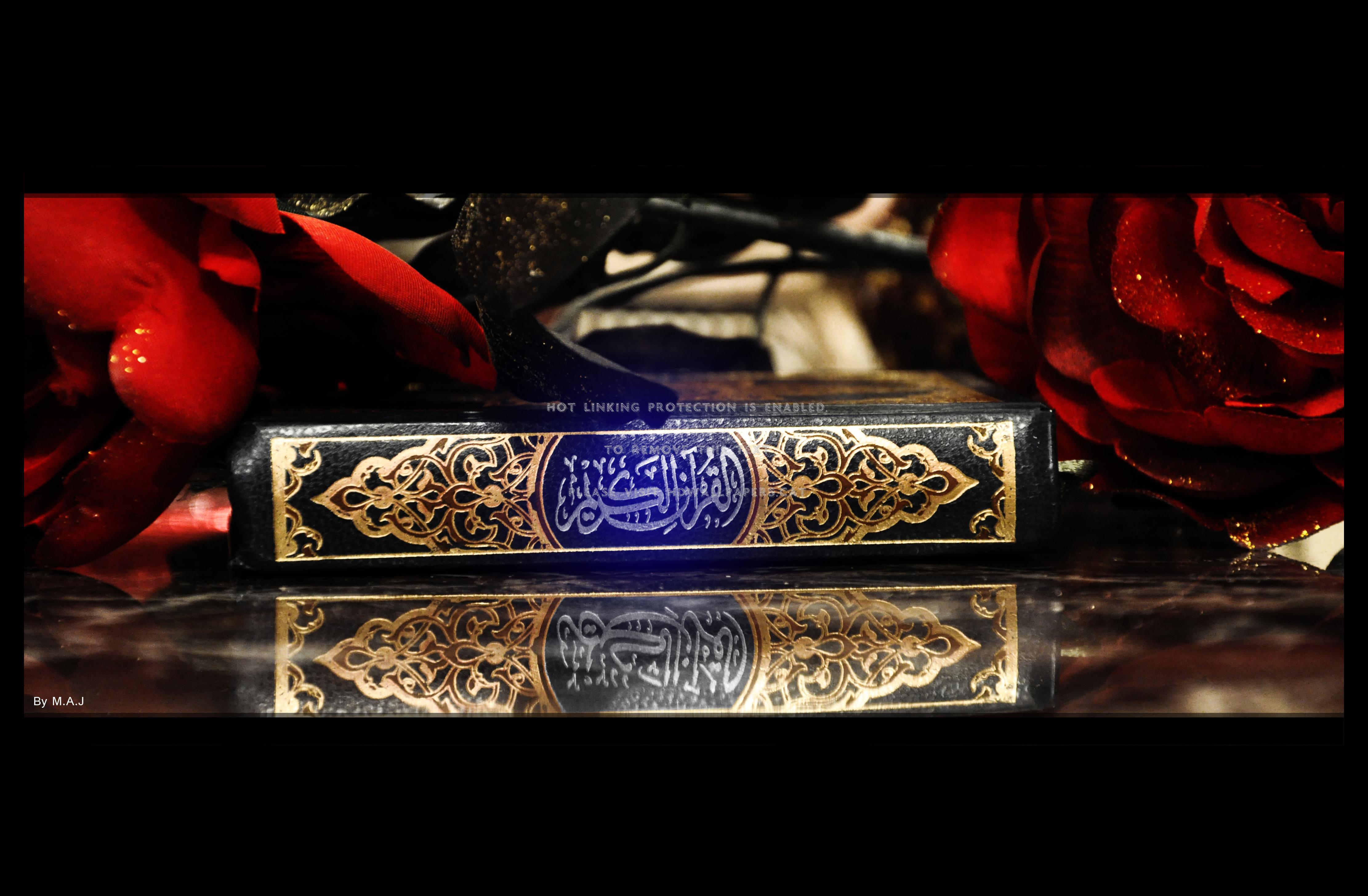4444x2912 quran koran picture burning holy the great