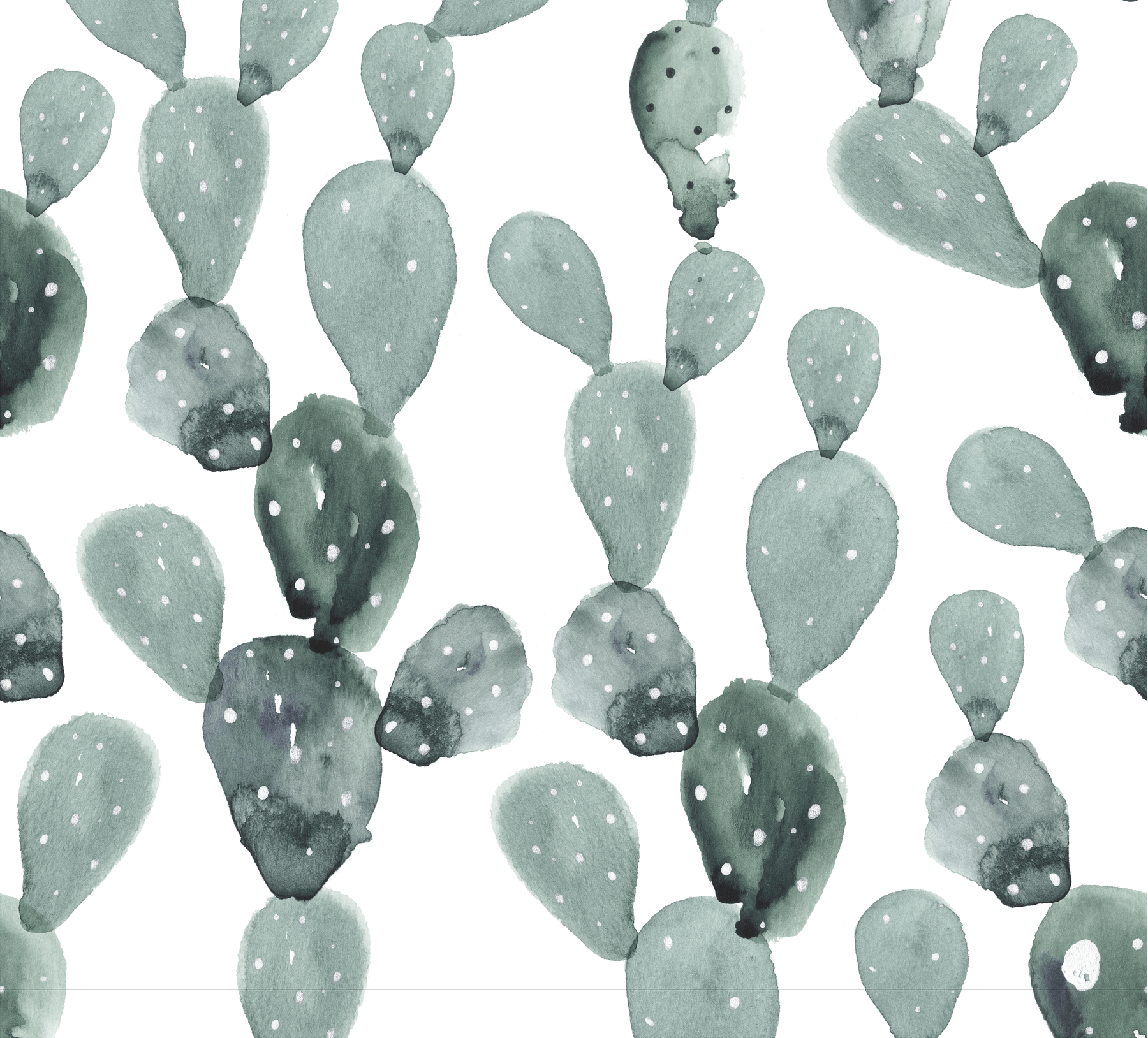 Green Cactus Wallpapers - Top Free Green Cactus Backgrounds