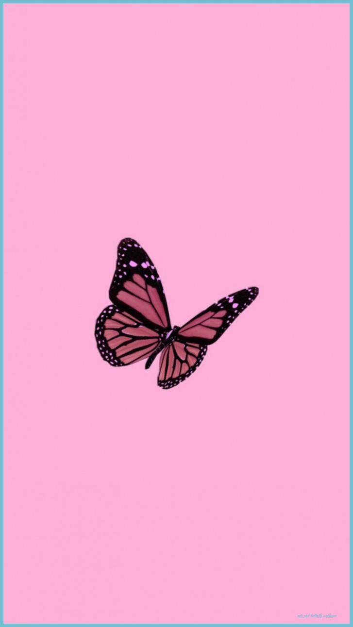 727x1292 Cute Pink Butterfly Wallpaper Free Cute Pink Butterfly Pink Butterfly Wallpaper