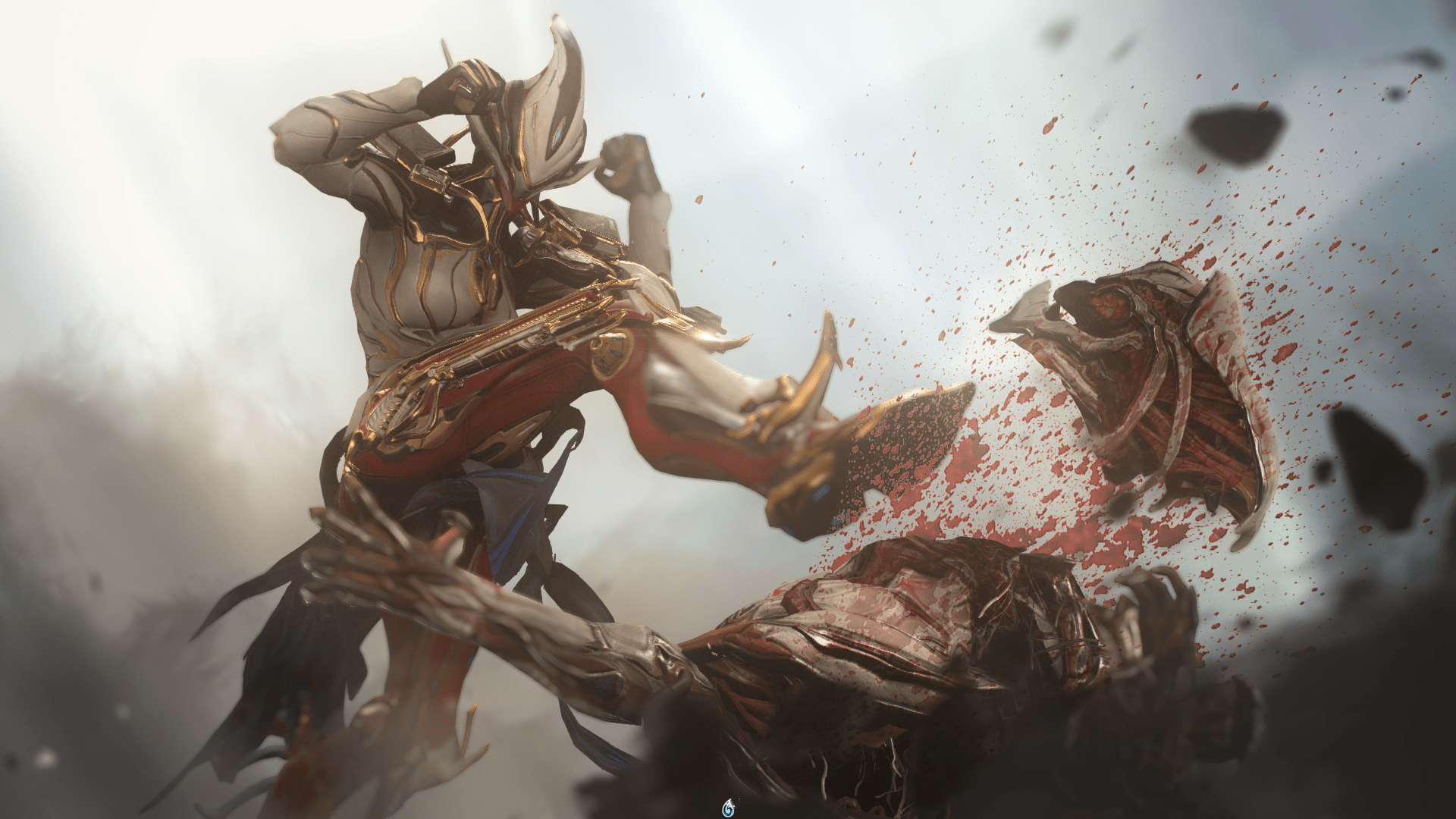 1920x1080 Spirit Of A Warrior Ivara Nidus Captura Edit