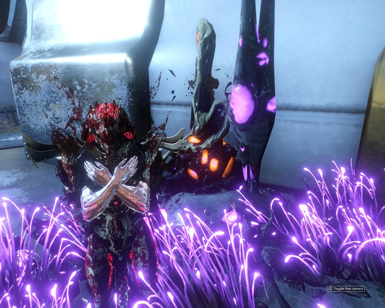 1280x1024 NIdus' 4 does not use dual energy colors on the foliage. & Animation