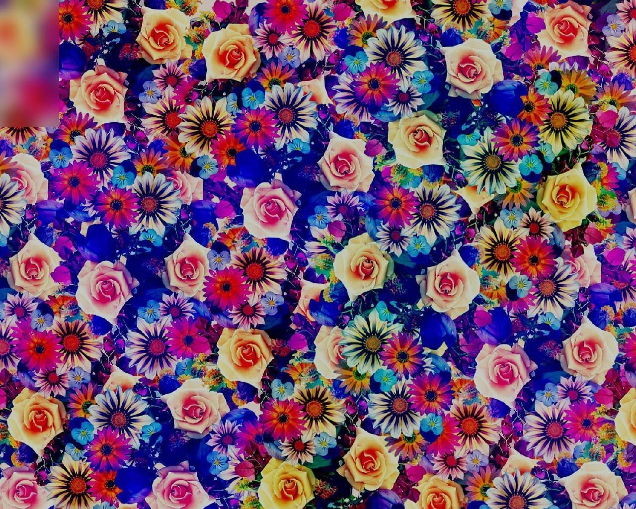 1280x1024 Bohemian Wallpaper for Android