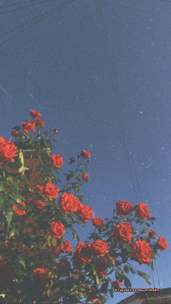 720x1280 Chambre bohème 853150723147209913 Screen Fonds d'écran d'écran. Wallpaper tumblr lockscreen, Aesthetic iphone wallpaper, iPhone wallpaper aesthetic