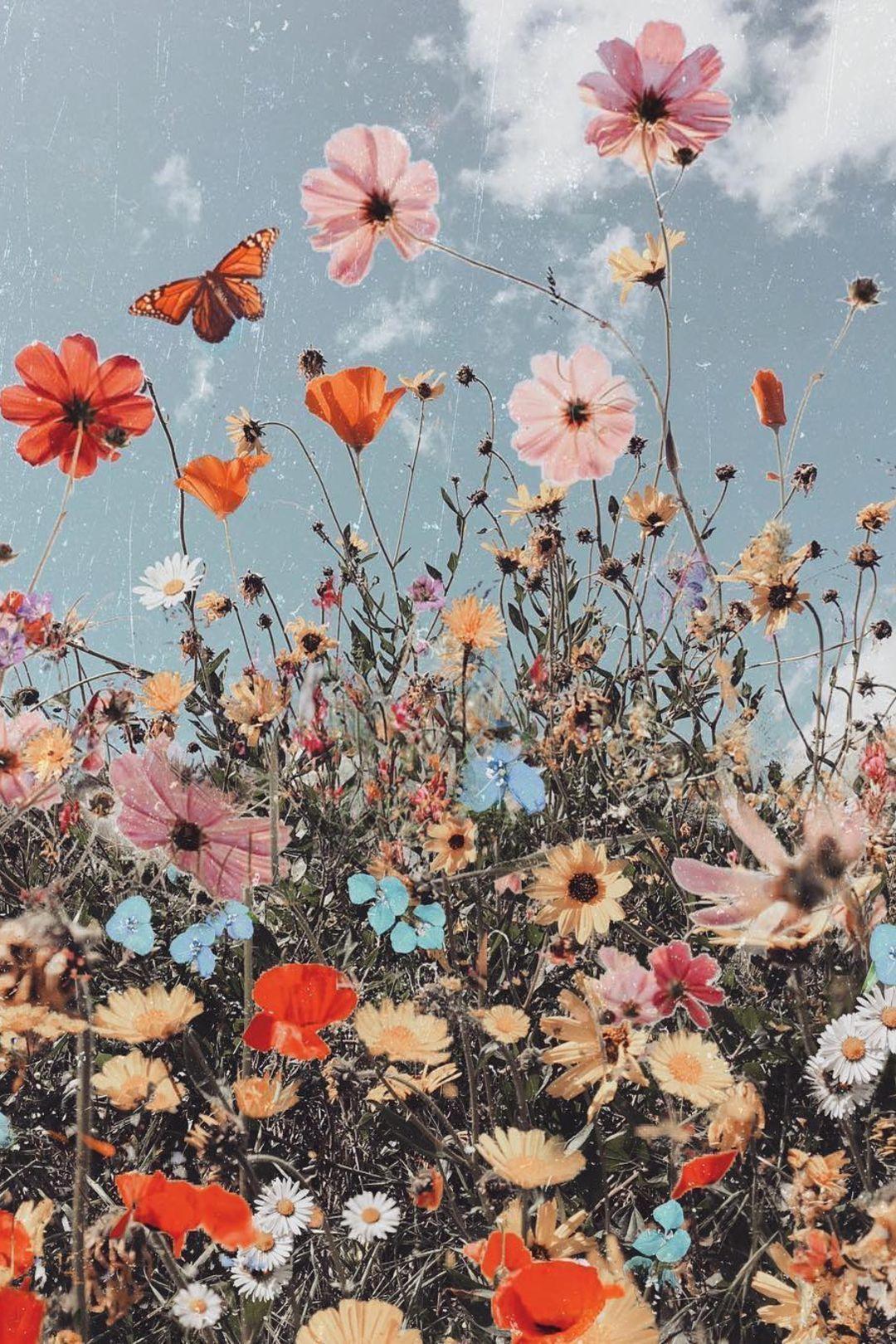 1080x1620 Wallpaper iPhone Wallpaper Aesthetic Boho