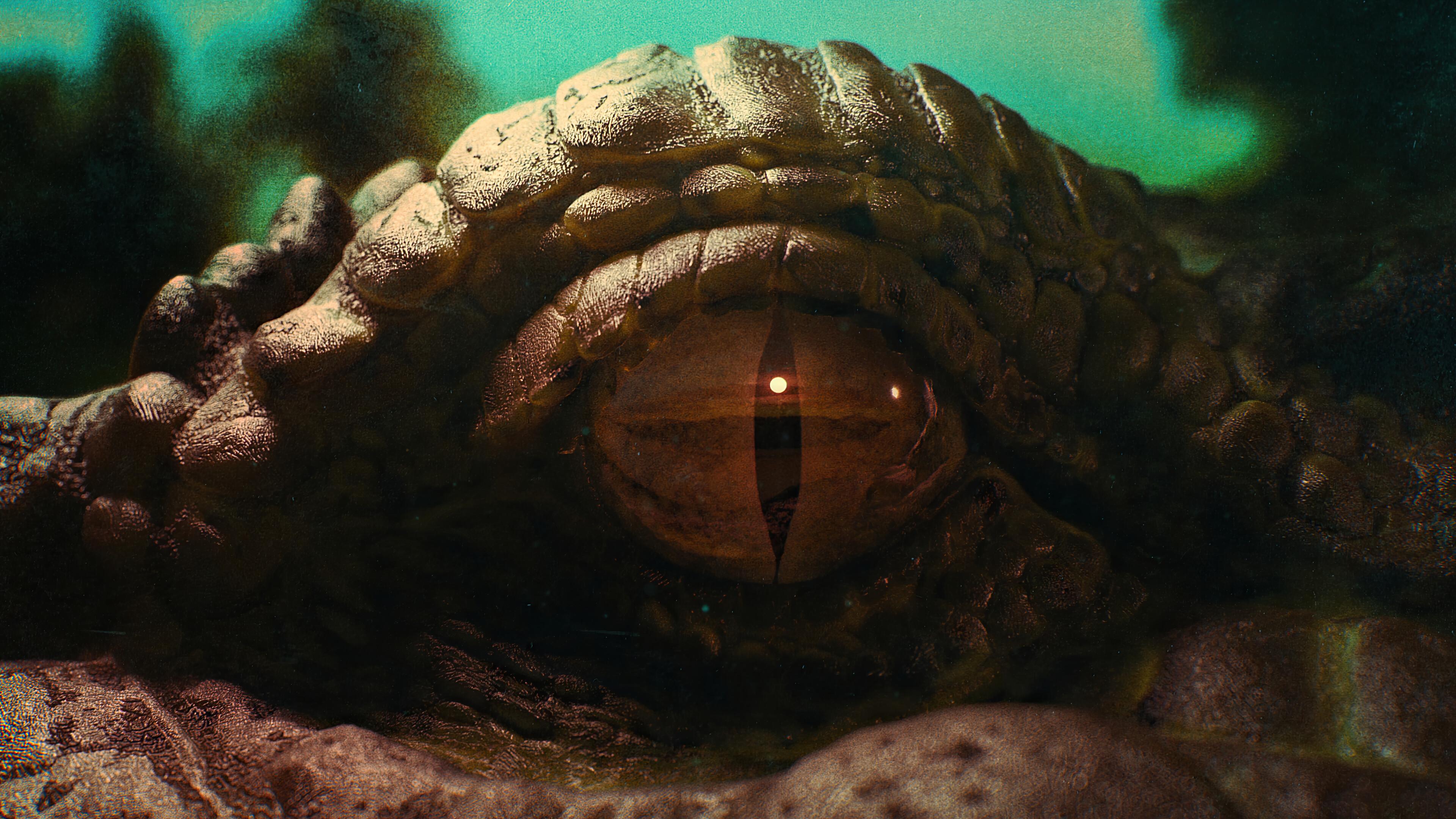 3840x2160 far cry crocodile eyes, animal Wallpaper & Background Image