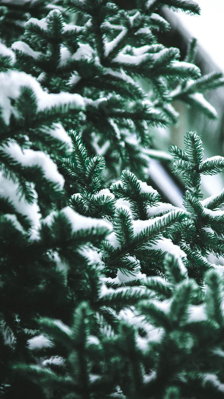 736x1308 Sparkly Christmas iPhone Xs Max Wallpaper