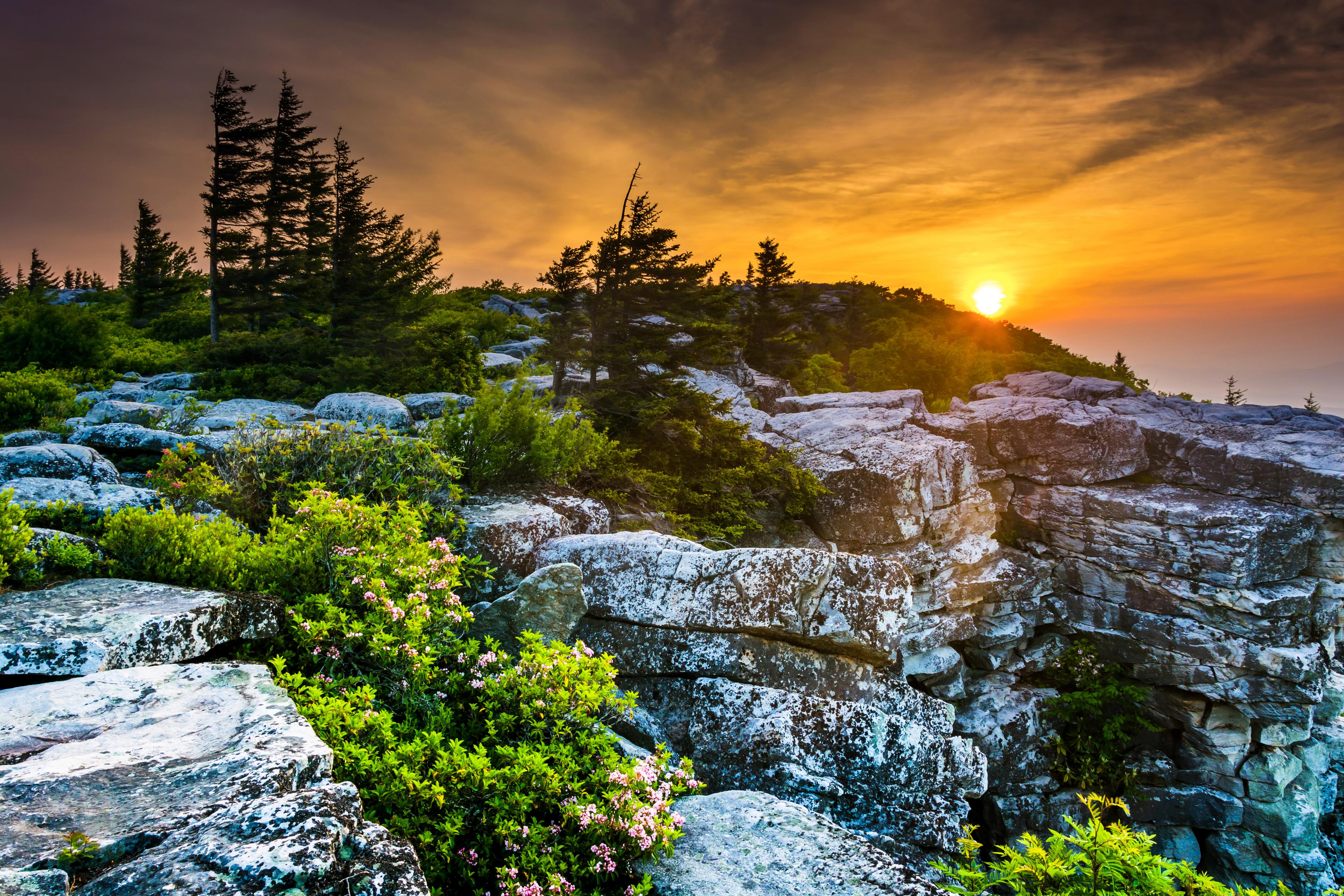 4500x3000 Picture USA West Virginia Spruce Nature sunrise and sunset 4500x3000
