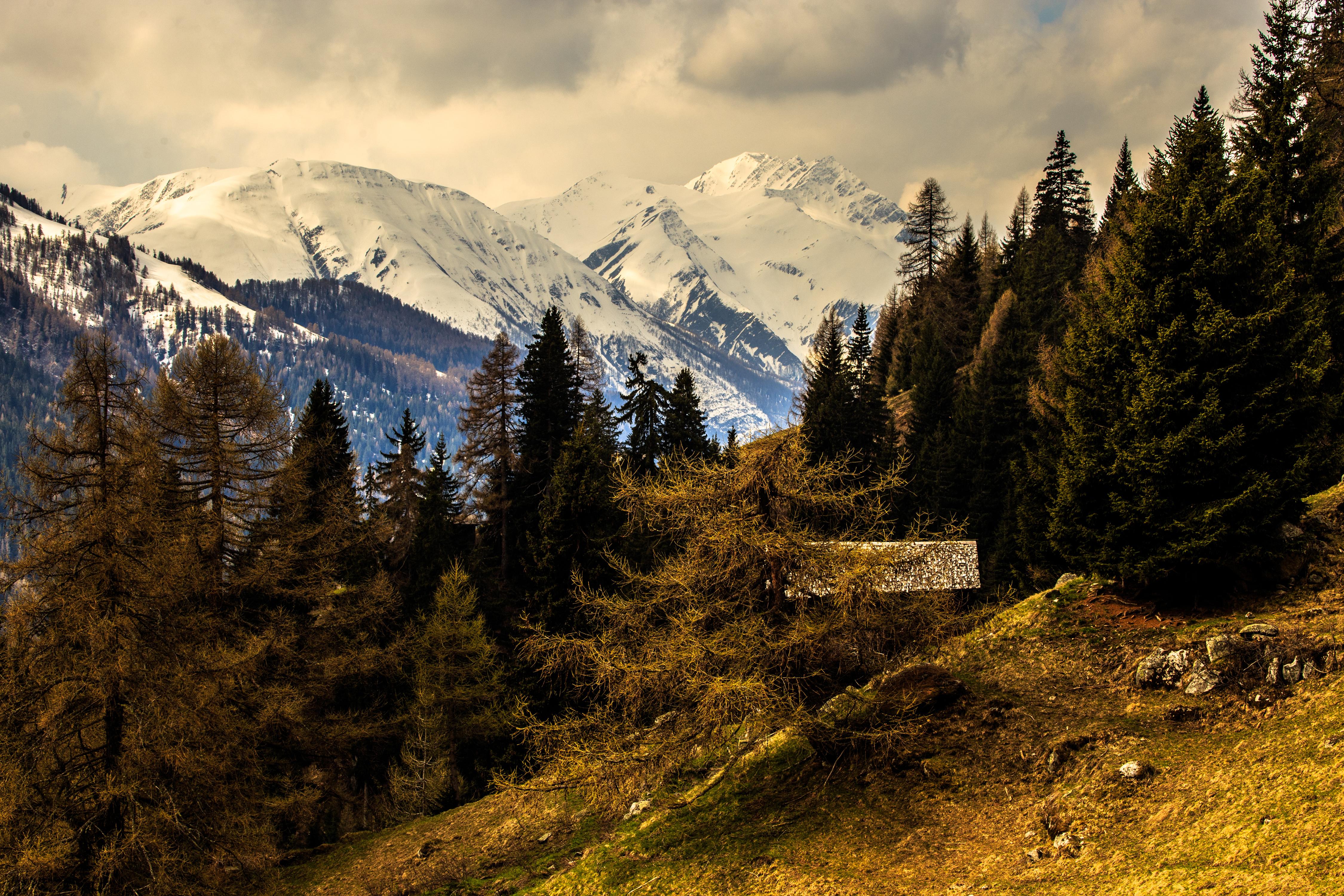 Фото лес и горы. Горы Альпы. Альпы Швейцария. Лес и горы Швейцария. Швейцария Альпы 3840 2160.