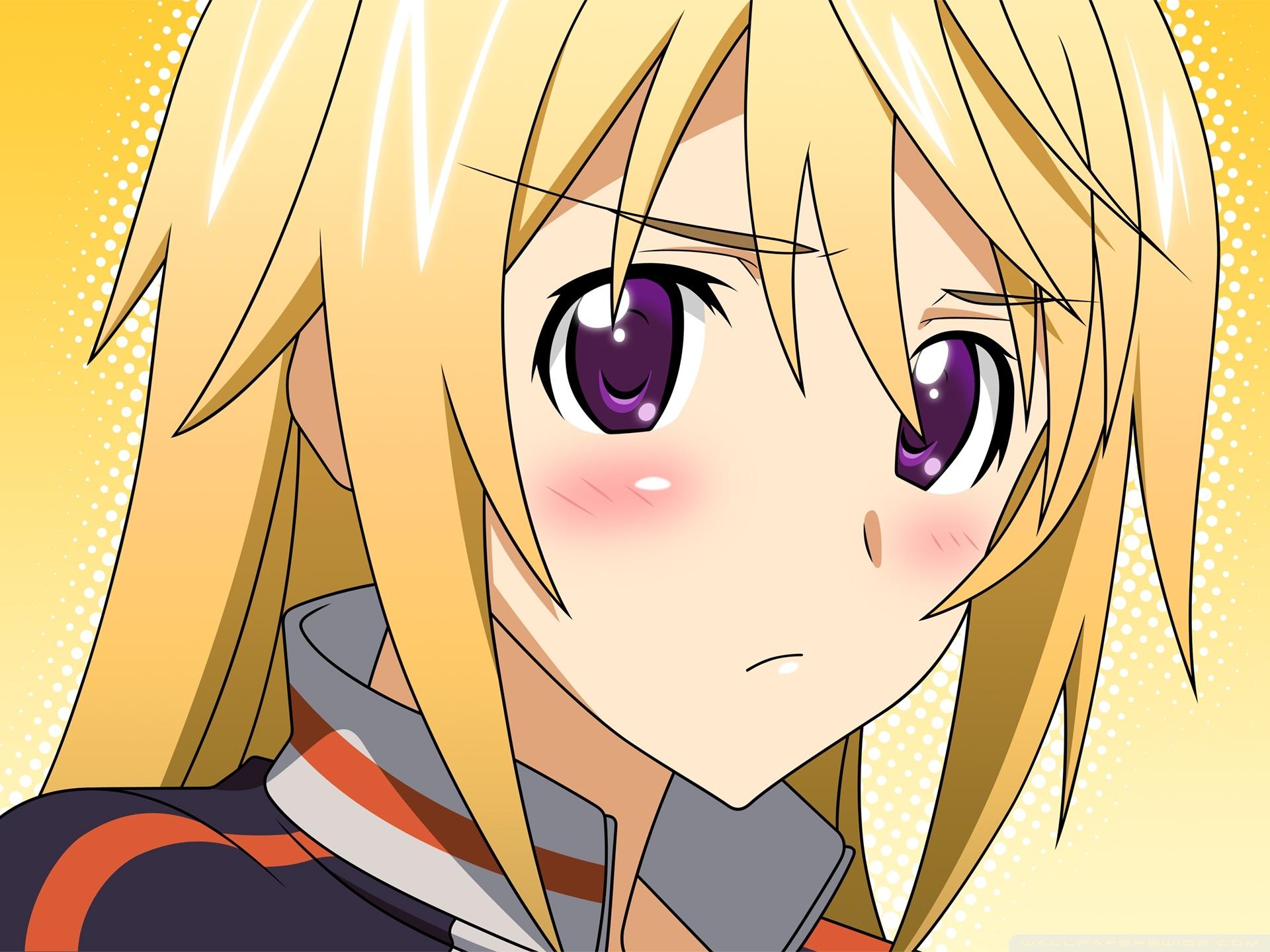 1920x1440 Infinite Stratos Dunois Charlotte Ultra HD Desktop Background Wallpaper for 4K UHD TV : Widescreen & UltraWide Desktop & Laptop : Tablet