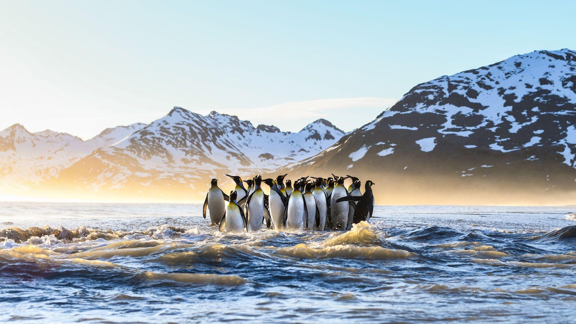 Bbc Planet Earth Wallpapers Top Free Bbc Planet Earth Backgrounds