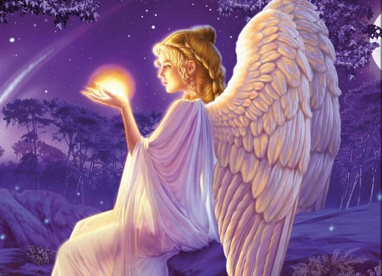 1280x923 Free download Angel Computer Wallpaper Desktop Background 1280x923 ID173199 [1280x923] for your Desktop, Mobile & Tablet. Explore Free Desktop Angel Picture Wallpaper. Live Angel Wallpaper, Angels Picture Wallpaper, Free