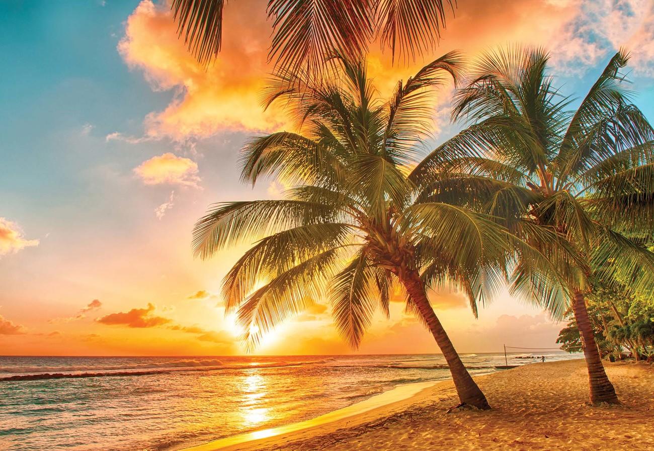 1300x897 tropical beach wallpaper tropical wallpaper beach sunset wallpaper coast sea sea sunset wall mural peel and stick sunset wallpaper Home Décor Home & Living